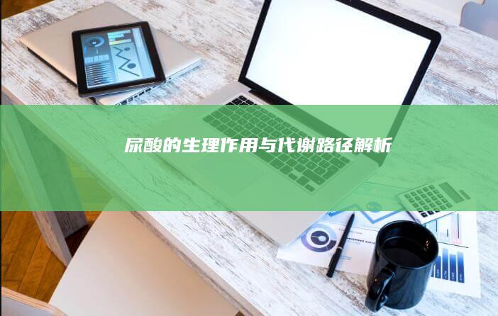 尿酸的生理作用与代谢路径解析