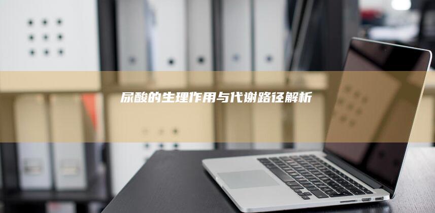 尿酸的生理作用与代谢路径解析